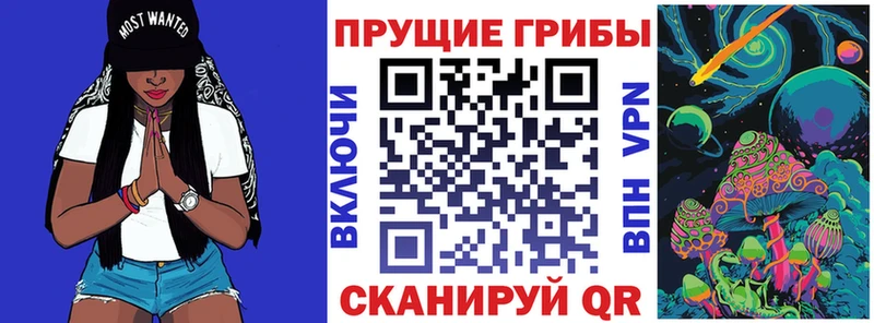 Галлюциногенные грибы прущие грибы  Купить закладки  Обоянь 